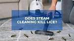 What Does Steam Cleaning Kill