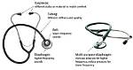 What Does Stethoscope Mean?