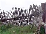 What Does Stockade Mean?