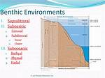 What Does Suboceanic Mean?