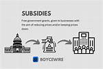 What Does Subsidy Mean?