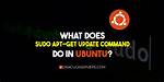 What Does "Sudo Apt-Get Update" Do?