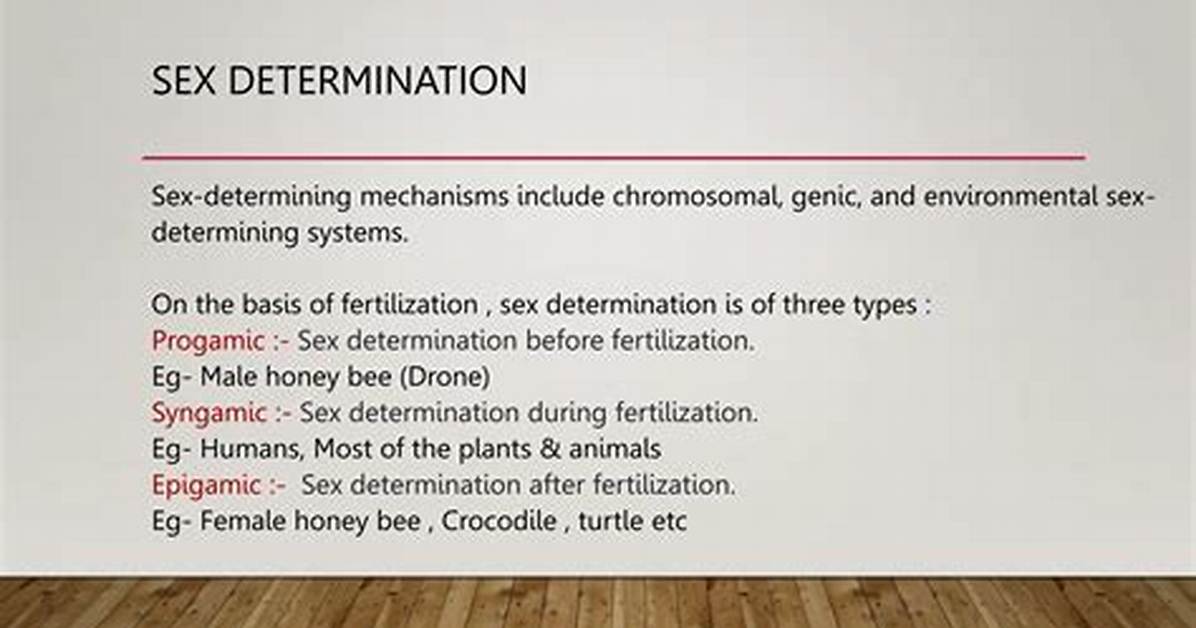 What Does Syngamic Mean?