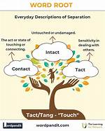 What Does Tact Mean