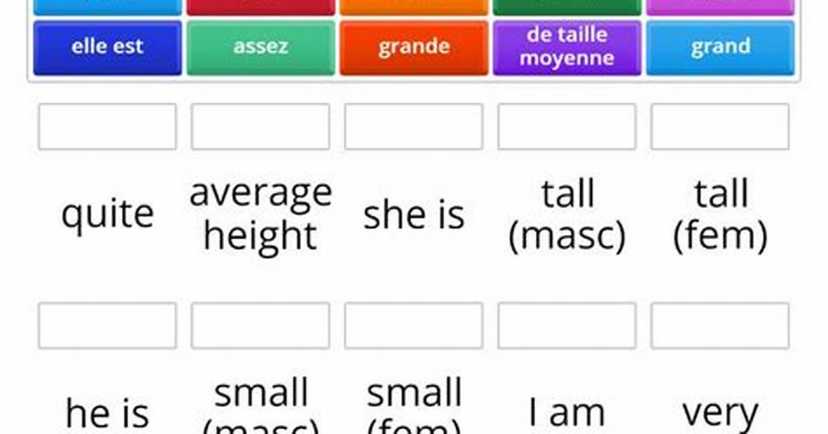 What Does Taille Mean?