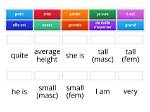 What Does Taille Mean?