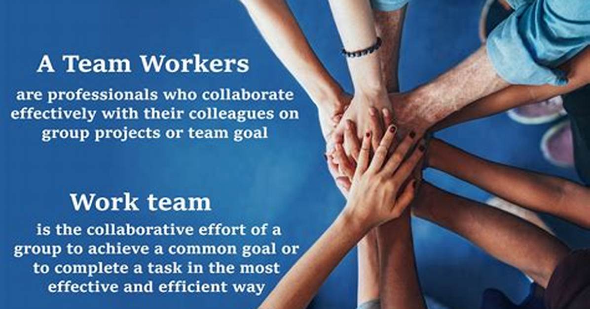 What Does Team Wise Mean?