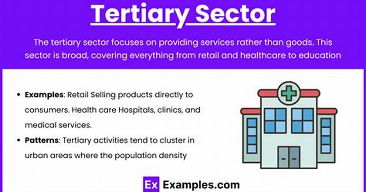 What Does Tertiary Mean