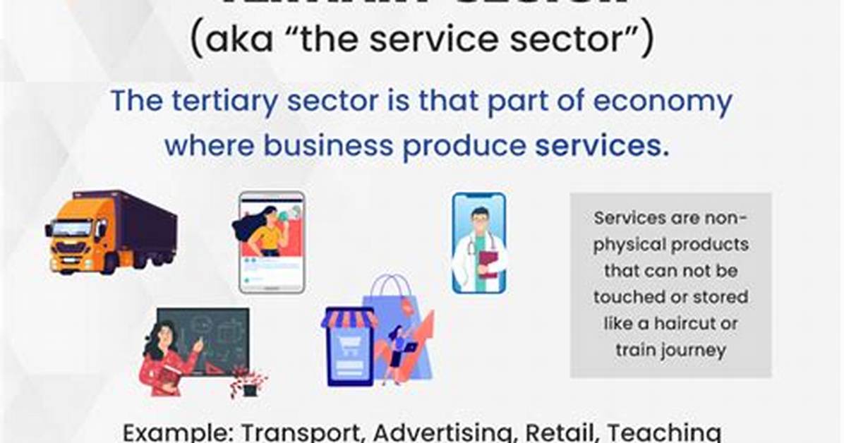 What Does Tertiary Sector Include