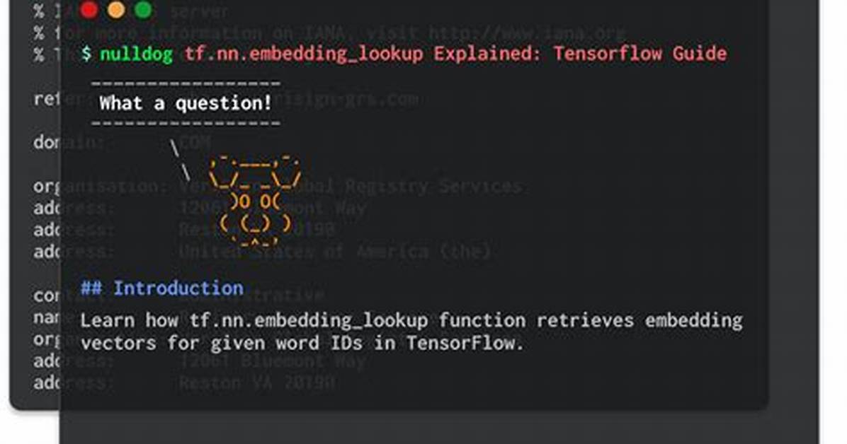 What Does Tf. Nn. Embedding_Lookup Function Do?