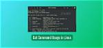 What Does the Cat Command Do in Linux?