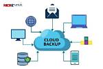 What Does the Cloud Backup?