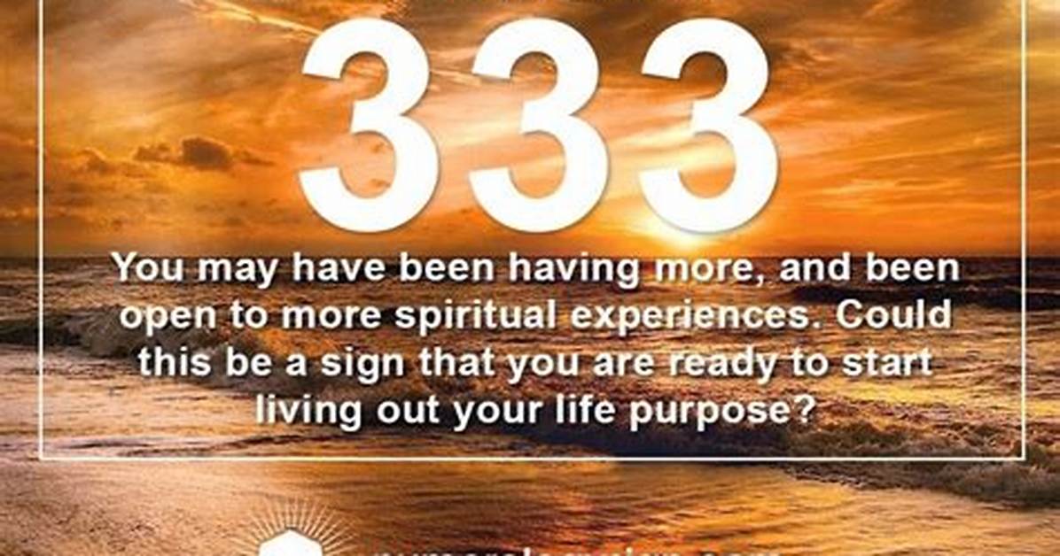 What Does the Code 333 Mean