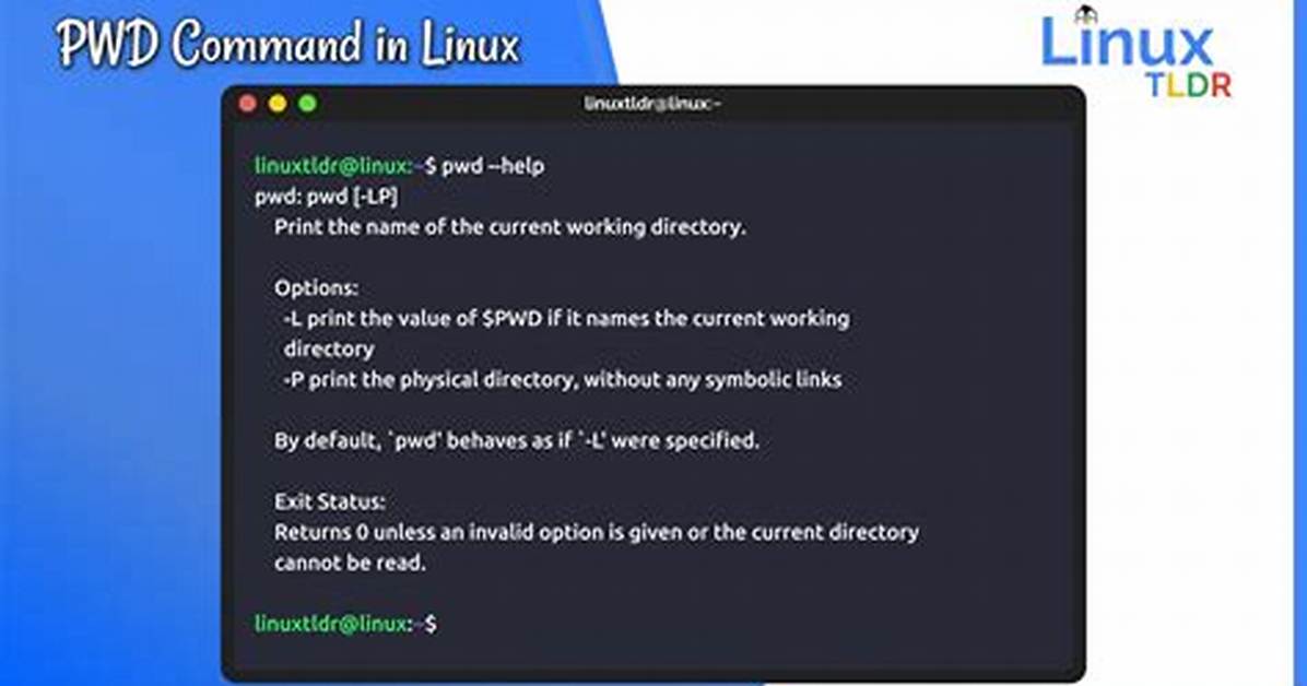 What Does the Command "Pwd=/Proc/Self/Cwd Another_Executable " Mean?