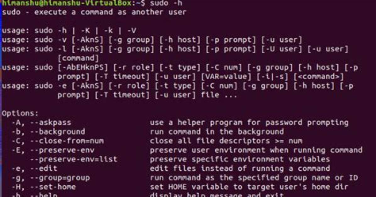 What Does the Command 'Sudo Sh -E ~/Downloads' Do?