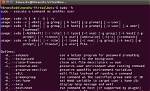 What Does the Command 'Sudo Sh -E ~/Downloads' Do?