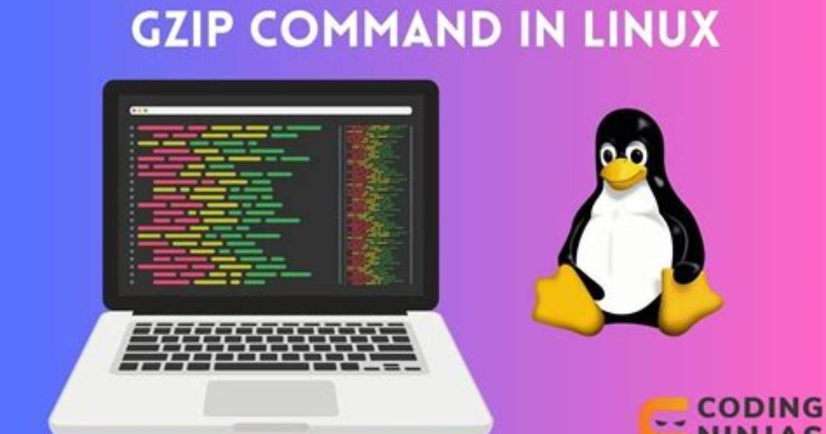 What Does the Gzip Command Do in Linux?