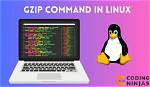 What Does the Gzip Command Do in Linux?