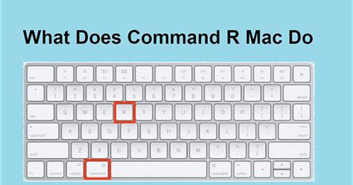 What Does the L Command Do?