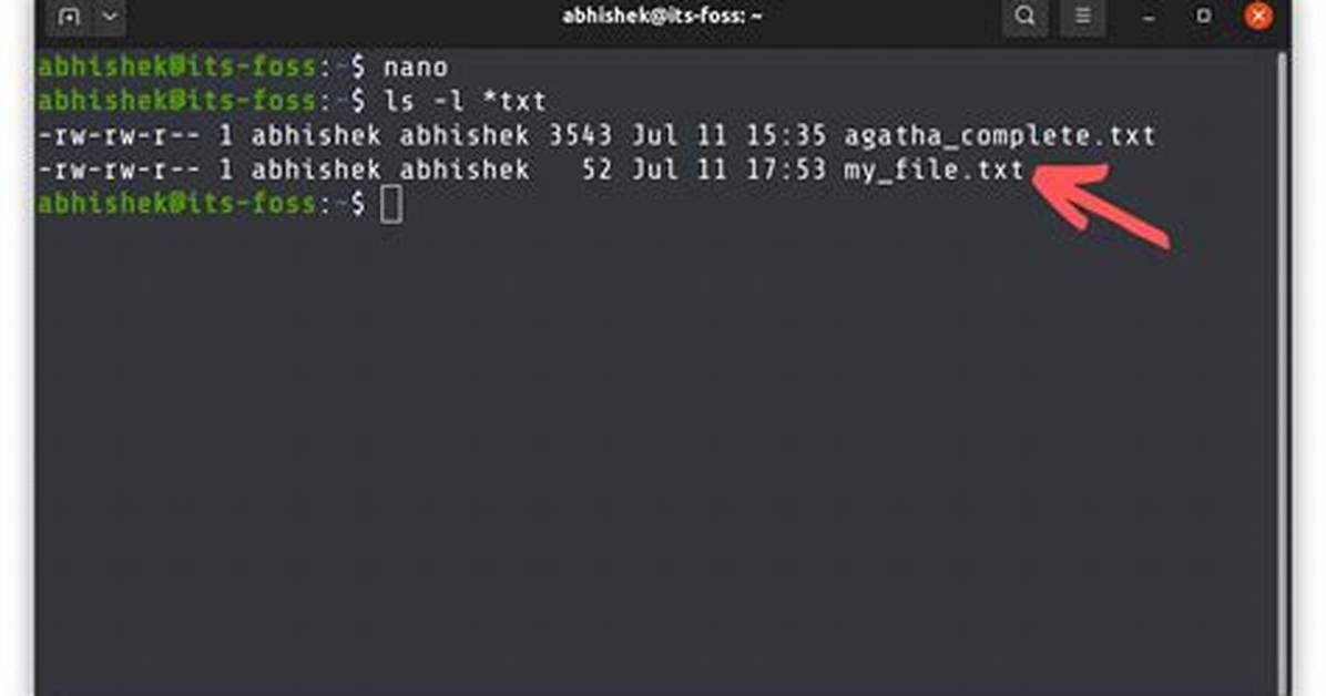 What Does the Option Do in Linux?