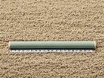 What Does the Reference Does the Carpet Match the Drapes Mean? Check This out | Does the Carpet Match the Drapes Meaning