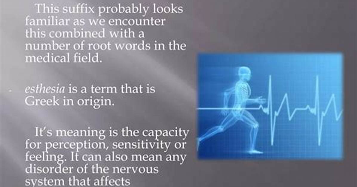 What Does the Root Esthesia Mean?