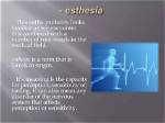 What Does the Root Esthesia Mean?