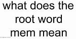 What Does the Root Mem Mean?