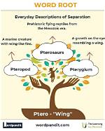 What Does the Root Ptero Mean?