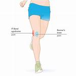 What Does the Runner Do