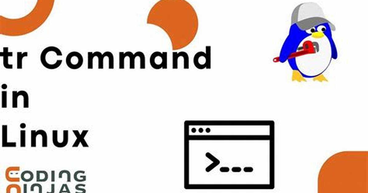 What Does the Tr Command Do in Linux?