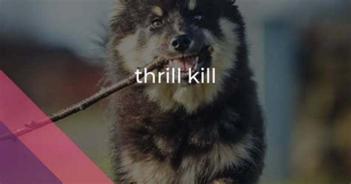 What Does Thrill Kill Mean?