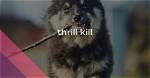 What Does Thrill Kill Mean?