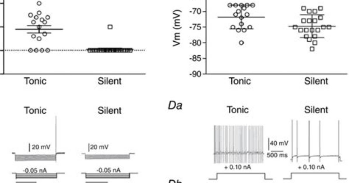 What Does Tonically Active Mean?