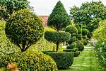 What Does Topiary Mean?