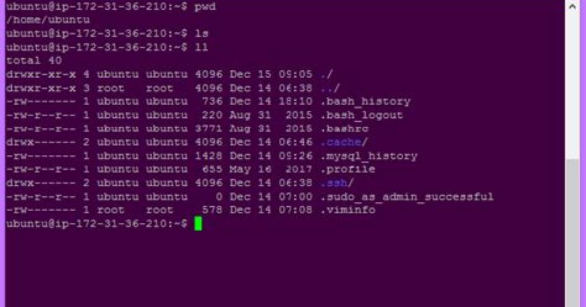 What Does Touch Command Do in Unix?