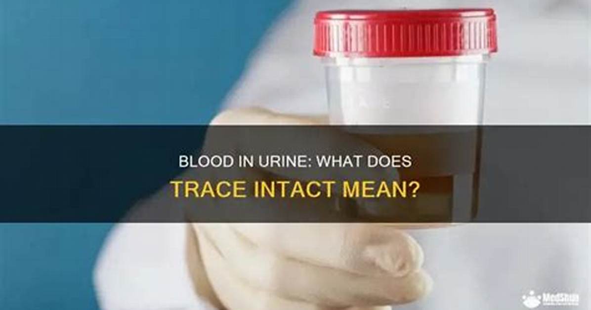 What Does Trace Data Mean