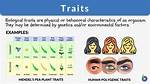 What Does Trait Mean