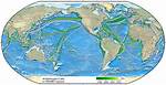 What Does Transoceanic Do?