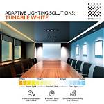 What Does Tunable White Mean?