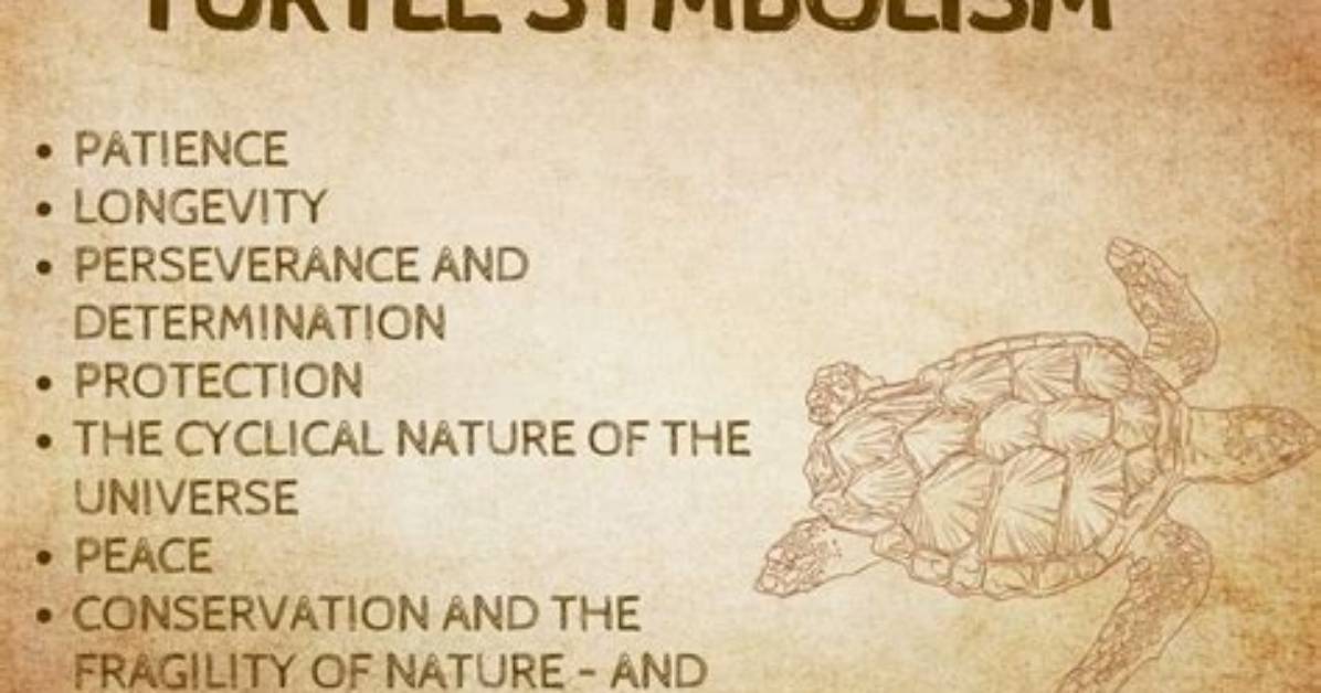 What Does Turtle Symbolize?