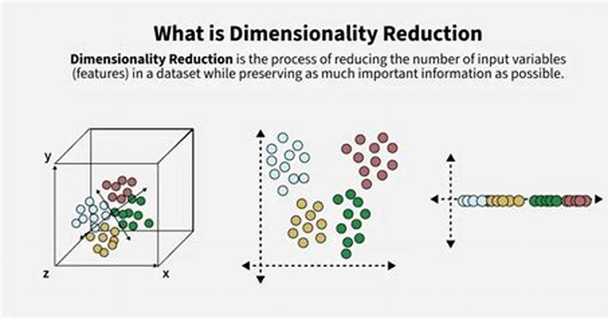 What Does Two-Dimensionality Meaning?