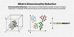 What Does Two-Dimensionality Meaning?