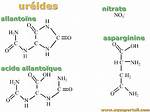 What Does Ureides Meaning?