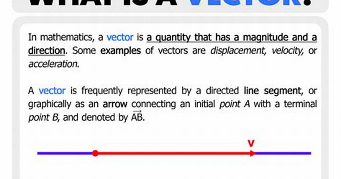 What Does Vectorially Meaning?