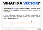 What Does Vectorially Meaning?