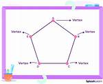 What Does Vertices Mean