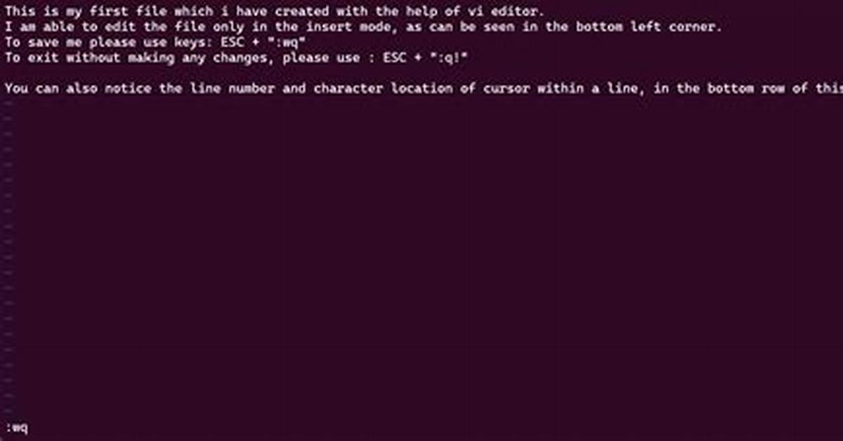 What Does Vi Command Do in Linux?