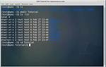 What Does Vim Do in Linux?