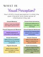 What Does Visual Discrimination Mean